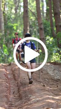 BIB:  <button type="button" onclick="openModal(26569705)" class="btn btn-primary btn-sm float-right" data-toggle="modal" data-target=".modal-high-quality">
                <i class="fa fa-download"></i> Download
                </button>